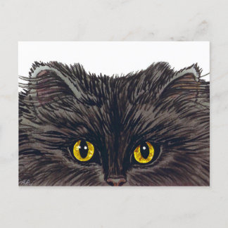 BOO! Spooky Black Cat van de oorspronkelijke Water Briefkaart