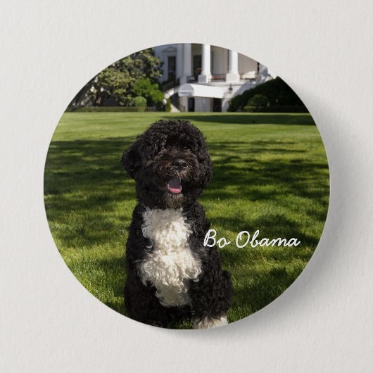 BoObama Ronde Button 7,6 Cm (Voorkant)