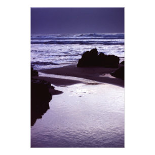 Boobys Bay Foto Afdruk