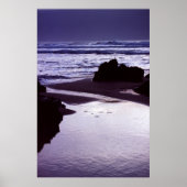 Boobys Bay Poster (Voorkant)