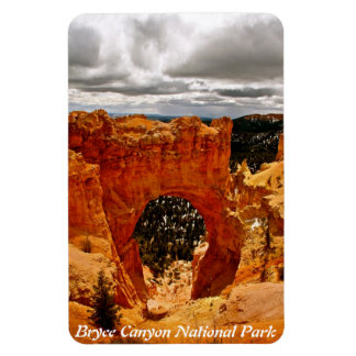 BOOG IN BRYCE CANYON NATIONAAL PARK MAGNEET