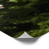 boog van rozen poster (Hoek)