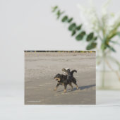 Booger, Kat en Mousey op het strand Briefkaart (Staand voorkant)