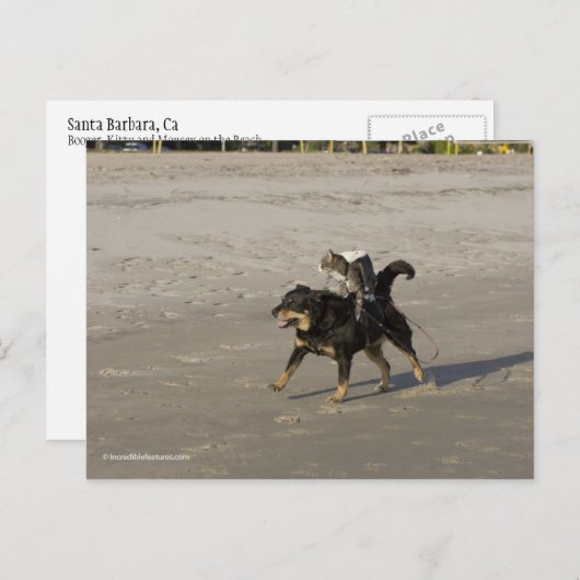 Booger, Kat en Mousey op het strand Briefkaart (Voorkant / Achterkant)