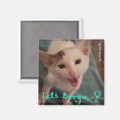 Boogie ! aimant chaton (Recto/Verso)