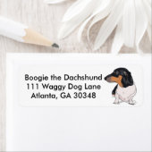 Boogie les Étiquettes de adresse Dachshund (En situation)