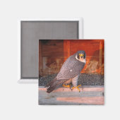 boogmagneet magneet (Voorkant / Achterkant)