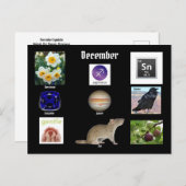 Boogschutter December Geboorte Maand BRIEFKAART (Voorkant / Achterkant)