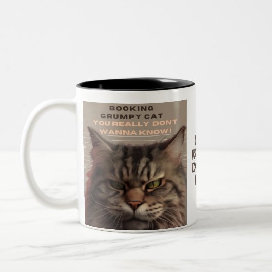 "Booking Grumpy Cat" Grumpy Cat va en prison Mug (Gauche)