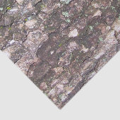 Boom 2 - Moss on Bark Tissuepapier (Detail)