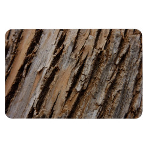 Boom Bark I Natuurlijk Abstract getextureerd ontwe Magneet