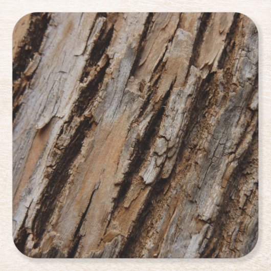 Boom Bark I Natuurlijk Abstract getextureerd ontwe Vierkante Kartonnen Onderzetter (Voorkant)