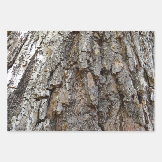 Boom Bark II Natuurlijke getextureerd ontwerp Inpakpapier Vel (Voorkant 3)