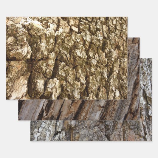 Boom Bark II Natuurlijke getextureerd ontwerp Inpakpapier Vel (Set)