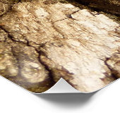 Boom Bark II Natuurlijke getextureerd ontwerp Perfect Poster (Hoek)