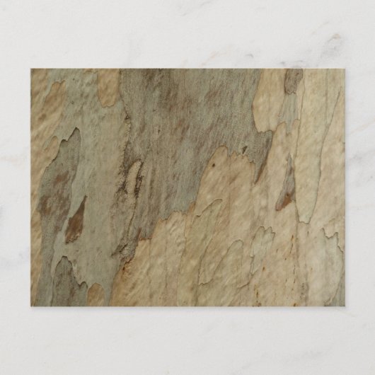 Boom Bark III Natuurlijk Abstract gestructureerd o Briefkaart (Voorkant)
