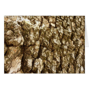 Boom Bast II Natuurlijk Textuur Design