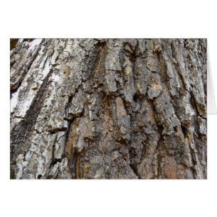 Boom Bast IV Abstracte Natuur