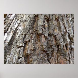 Boom Bast IV Abstracte Natuur Poster