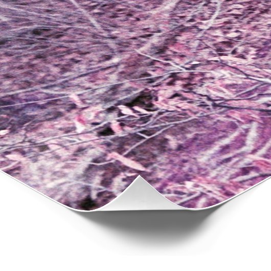 Boom bij Dunbar Perfect Poster (Hoek)