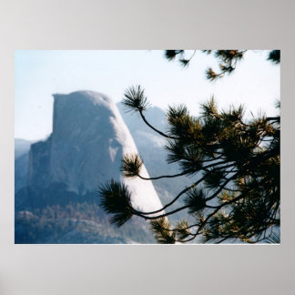 Boom bij Half Dome Poster
