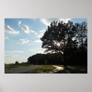 Boom bij Valley Forge Poster/ Print