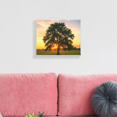 Boom bij zonsondergang canvas afdruk (Insitu (Woonkamer))