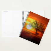 Boom bij zonsondergang planner (Display)