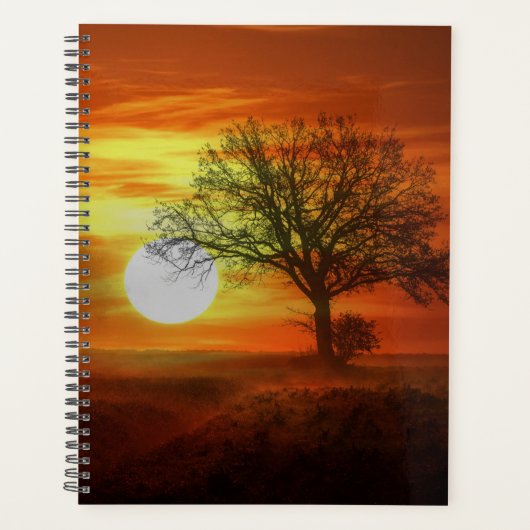 Boom bij zonsondergang planner (Voorkant)