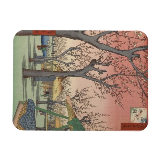 Boom bloesems pruimentuin Japans Magneet (Horizontaal)