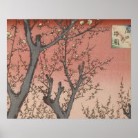 Boom bloesems pruimentuin Japans
