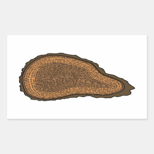 Boom boomstammen met dwarsdoorsnede Groeibomen Rechthoekige Sticker