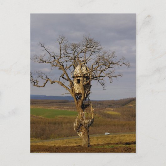 Boom Briefkaart (Voorkant)