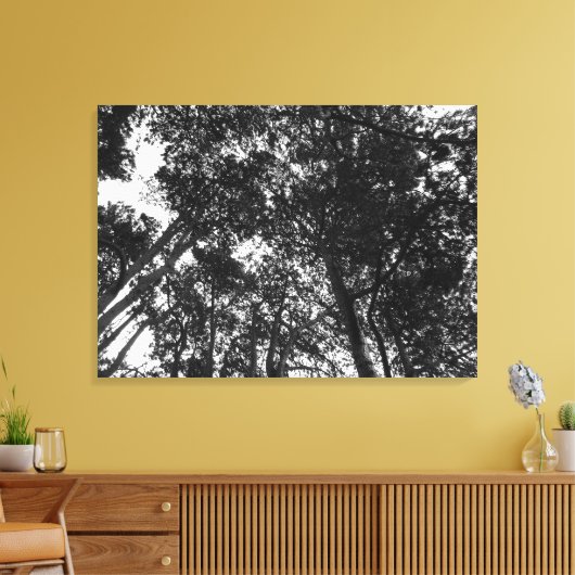 Boom Canopy, Bute Park, Cardiff Canvas Afdruk (Insitu (Woonkamer))