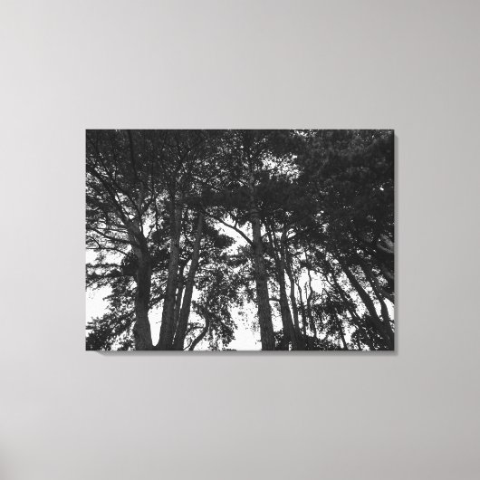 Boom Canopy II, Bute Park, Cardiff Canvas Afdruk (Voorkant)