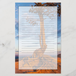 Boom Clings to Ledge, Bryce Canyon National Park Briefpapier