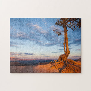 Boom Clings to Ledge, Bryce Canyon National Park Legpuzzel