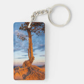 Boom Clings to Ledge, Bryce Canyon National Park Sleutelhanger (achterkant)