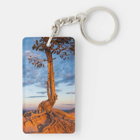 Boom Clings to Ledge, Bryce Canyon National Park Sleutelhanger (achterkant)