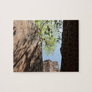Boom die groeit tussen rotsen in Zion National Par Legpuzzel