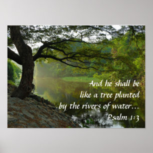 Boom die nabij water groeit, psalm 1:3, schitterin poster
