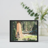 Boom en museum briefkaart (Staand voorkant)