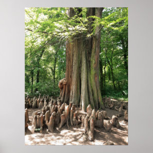Boom en wortels poster