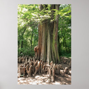 Boom en wortels poster