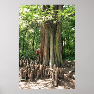 Boom en wortels poster