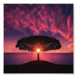 Boom en zon foto afdruk
