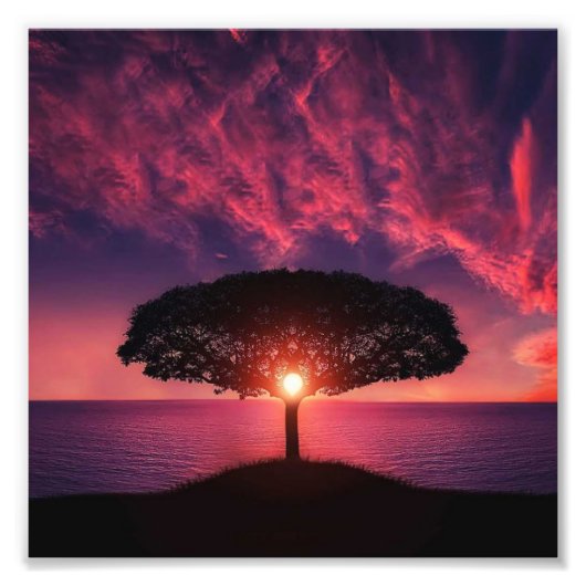 Boom en zon foto afdruk (Voorkant)