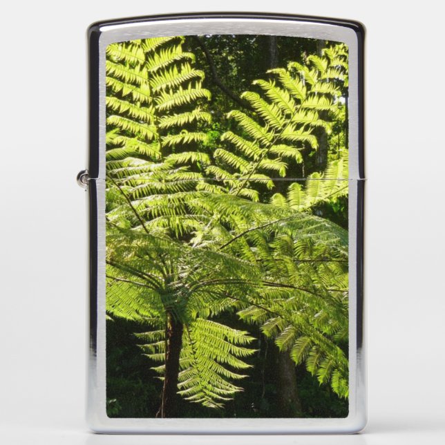 Boom Fern in het regenwoud (Voorkant)