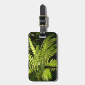 Boom Fern in het regenwoud Bagagelabel (Voorkant verticaal)