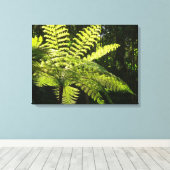 Boom Fern in het regenwoud Canvas Afdruk (Insitu (Houten vloer))